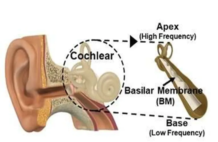 管网压力＜10 米时金属与非金属管道的主动检漏