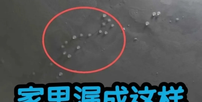 家里漏水，选对师傅是关键，做到一劳永逸