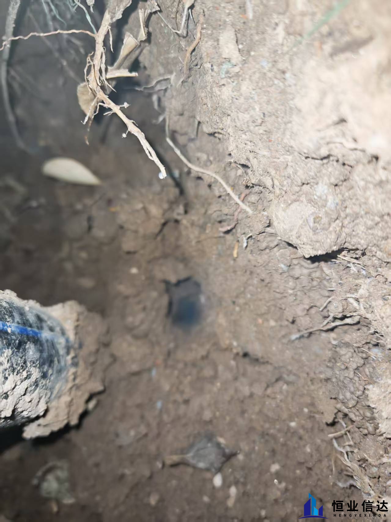 08ce5957cc056591c52d1a6c4e91ca4b